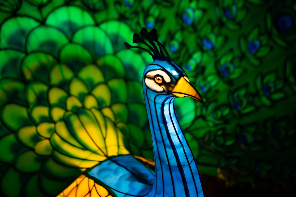 LIGHT 'EM UP! Bronx Zoo's Holiday Lights Is Back for the 2022